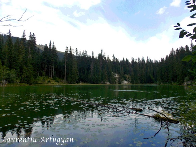 Zminje Jezero Durmitor